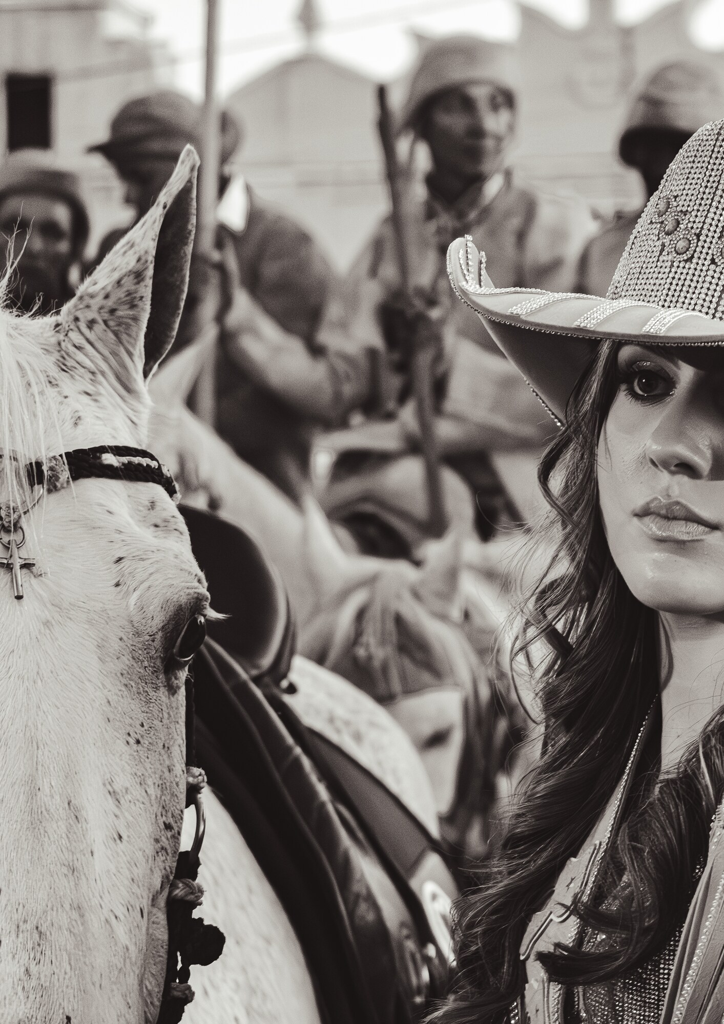 O cavalo, a sela e o movimento